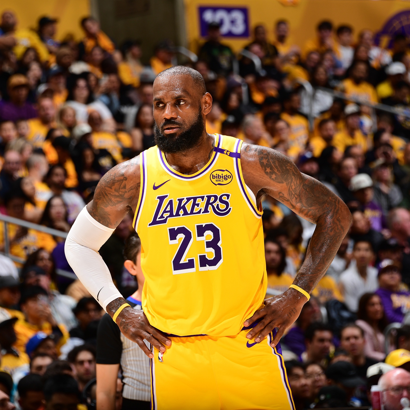 包含詹姆斯连续十场比赛得分超过败北，加拿大队不断突破！的词条